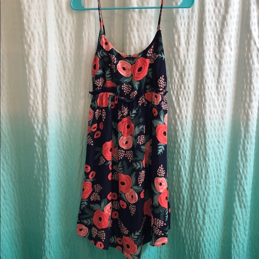 Paper crown x rifle paper co dress
